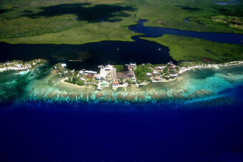 Coral View Beach Resort Utila Kültér fotó
