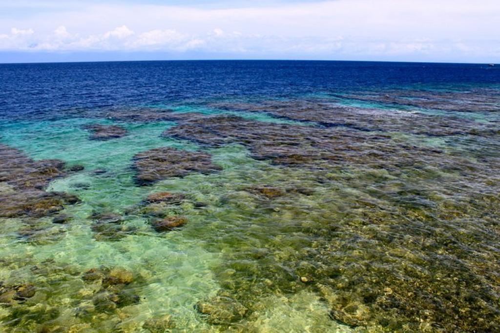 Coral View Beach Resort Utila Kültér fotó